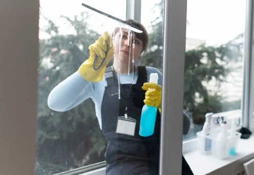 Nettoyage de vitres intérieures et extérieures à Neuvy